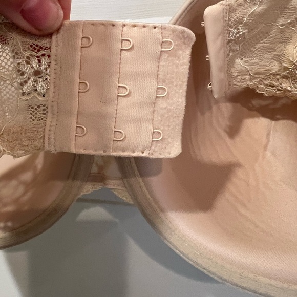 Wacoal French Garden Bra Sz 36DDD Seamless Lace Sides Underwire NWOT - Picture 4 of 6